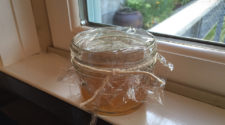 How to Get Rid of Fruit Flies in the House